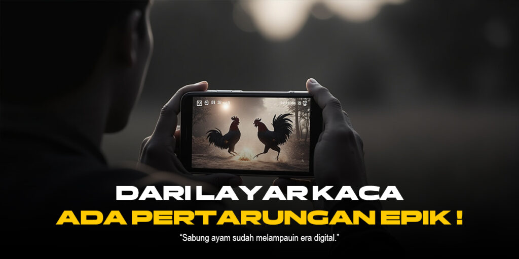 Mengenal Jenis Ayam Aduan Populer di Sabung Ayam SV388