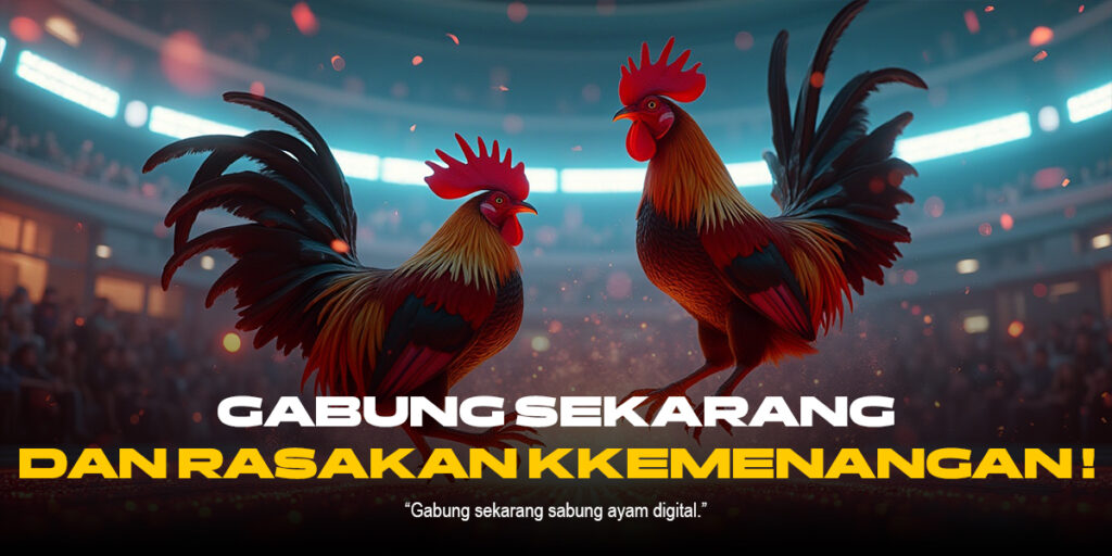Mengenal Jenis Ayam dan Odds di Sabung Ayam SV388
