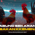 Mengenal Jenis Ayam dan Odds di Sabung Ayam SV388