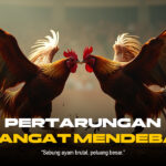 Rahasia Sabung Ayam SV388 yang Wajib Kamu Tahu!
