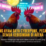 Mengupas Jagoan Sabung Ayam: Ayam Bangkok Juara Taruhan