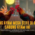 Kehebatan Ayam Bangkok: Raja Sabung Ayam Online SV388